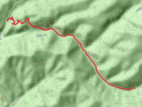 Marie Creek Trail