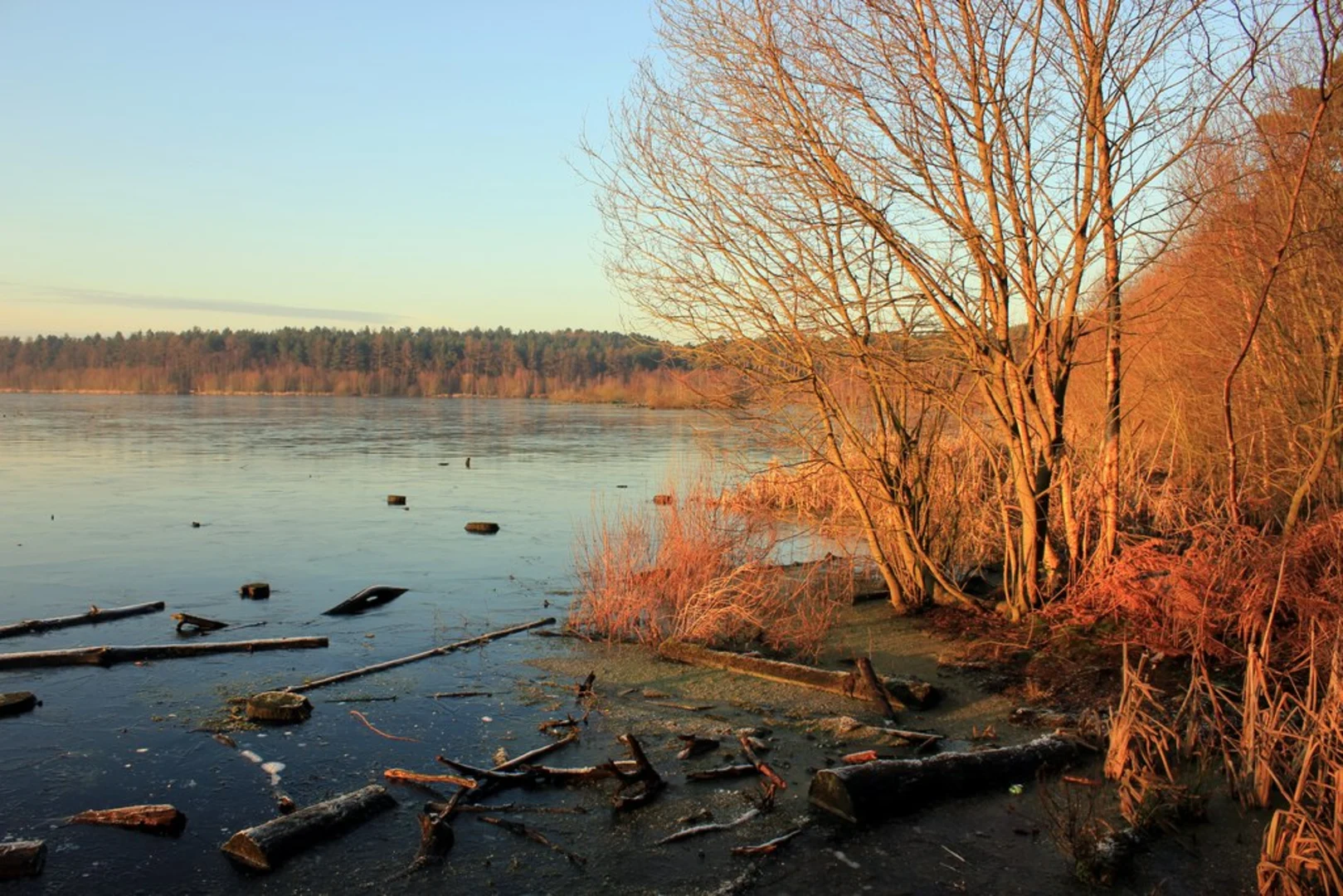 An image depicting the trail Blakemere Moss Loop and its surrounding area.