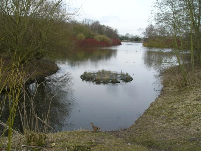 Rufford Abbey Country Park Loop