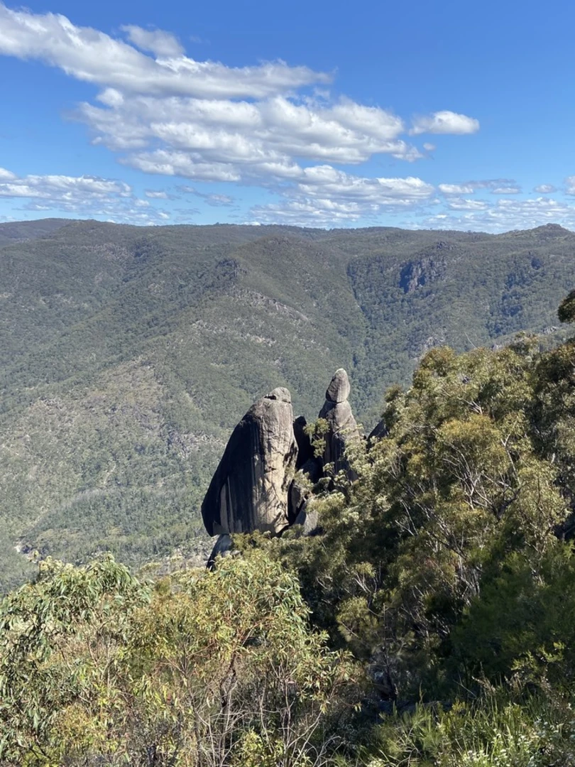 An image depicting the trail The Needles Track and its surrounding area.