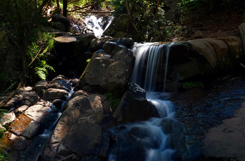 Olinda Falls and Mechanics Track