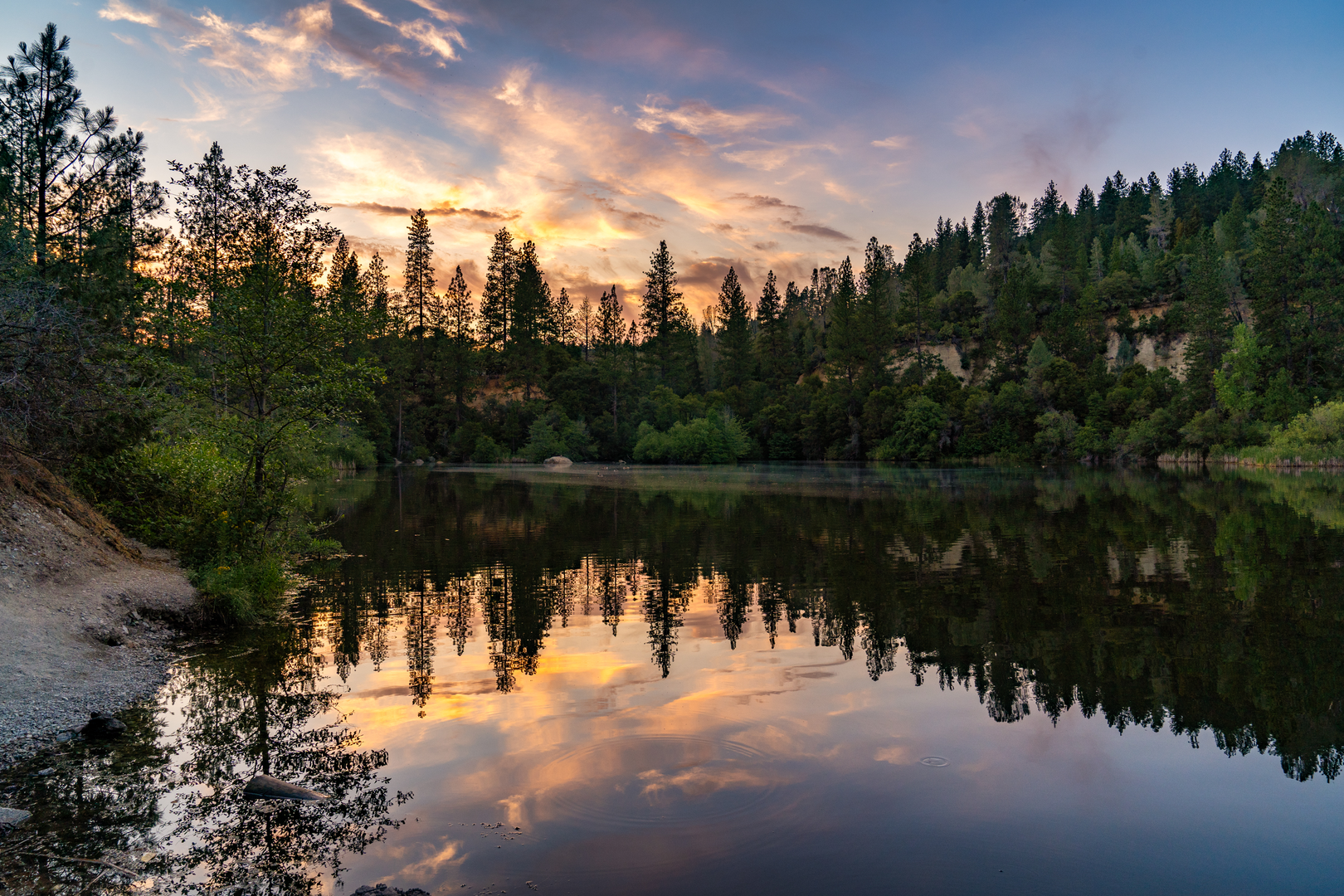 An image depicting the trail Hirschman's Pond and its surrounding area.