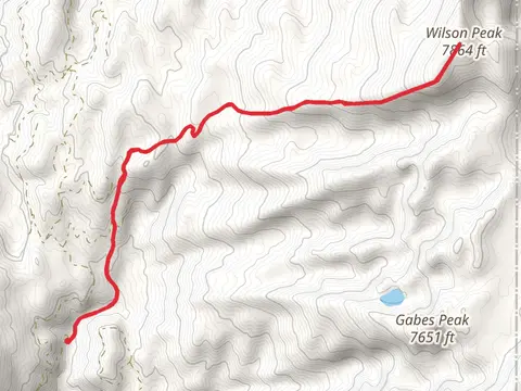Wilson Peak via Wilson Corrals Trail