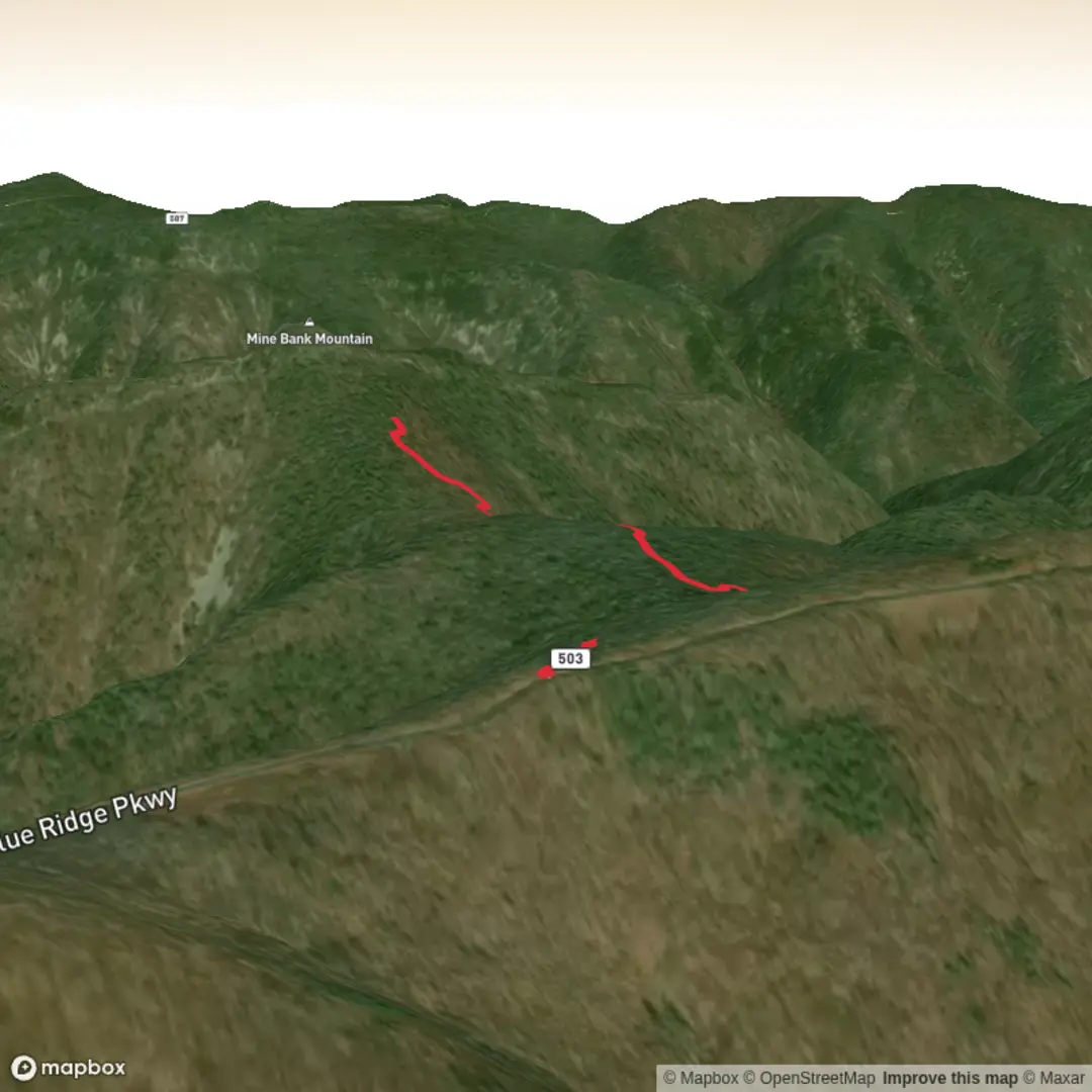 An image depicting the trail Mine Bank Mountain Trail and its surrounding area.