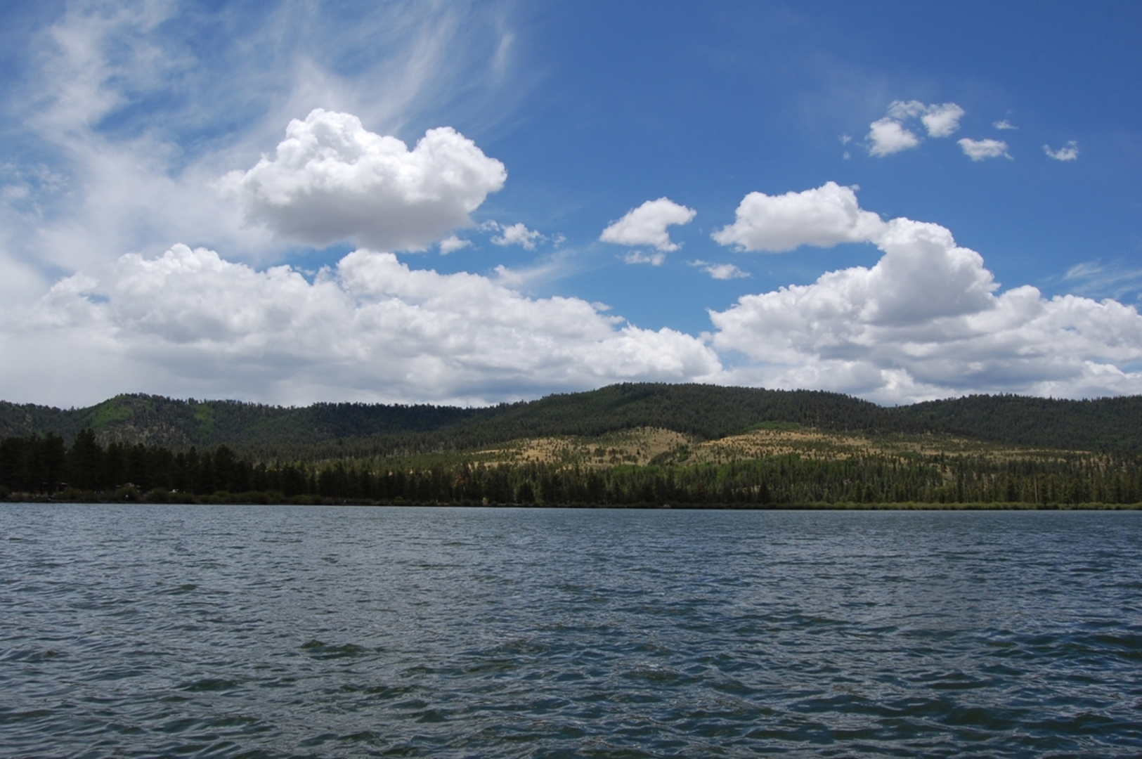 An image depicting the trail Ponderosa Loop Trail via Fir Trail and its surrounding area.
