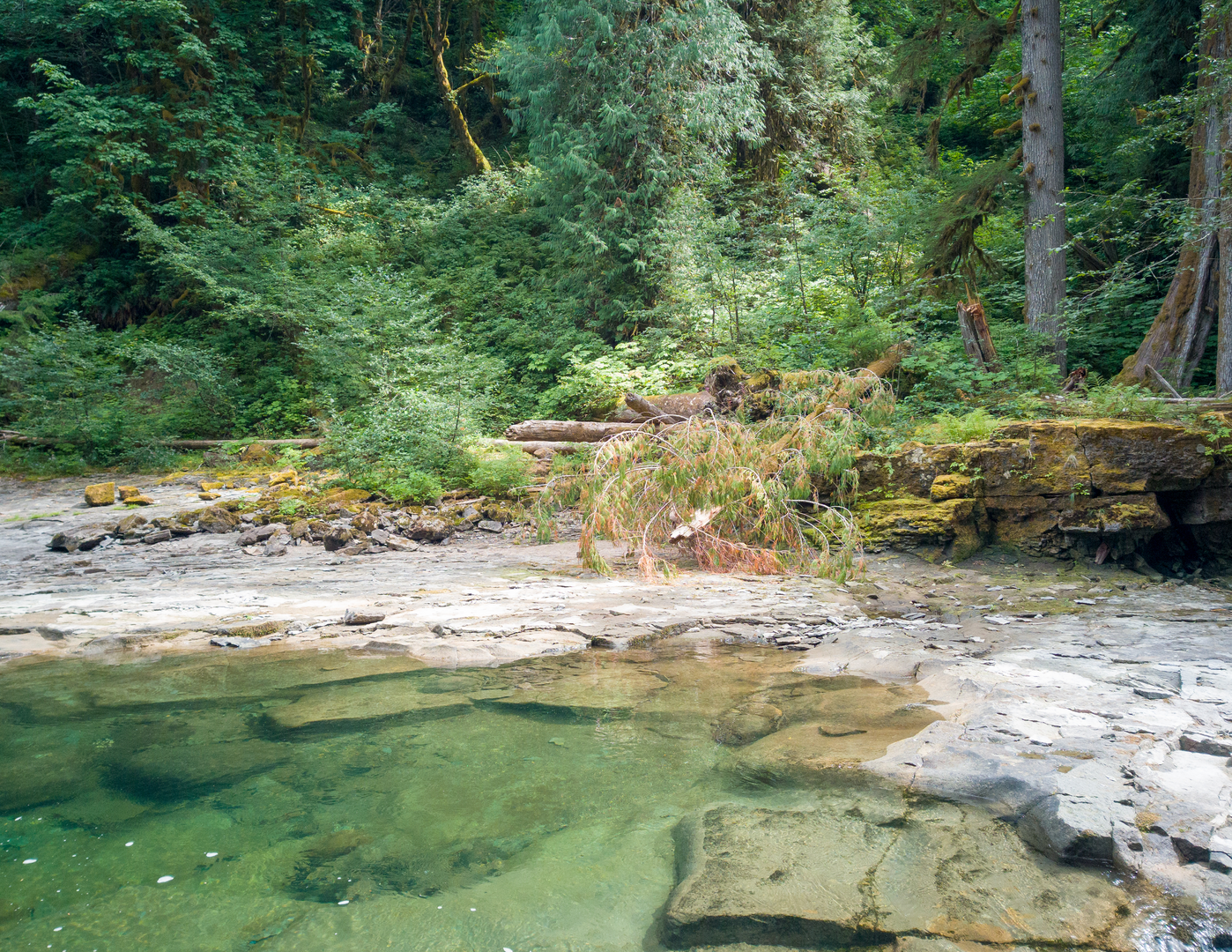 An image depicting the trail Pinchot Trail and its surrounding area.