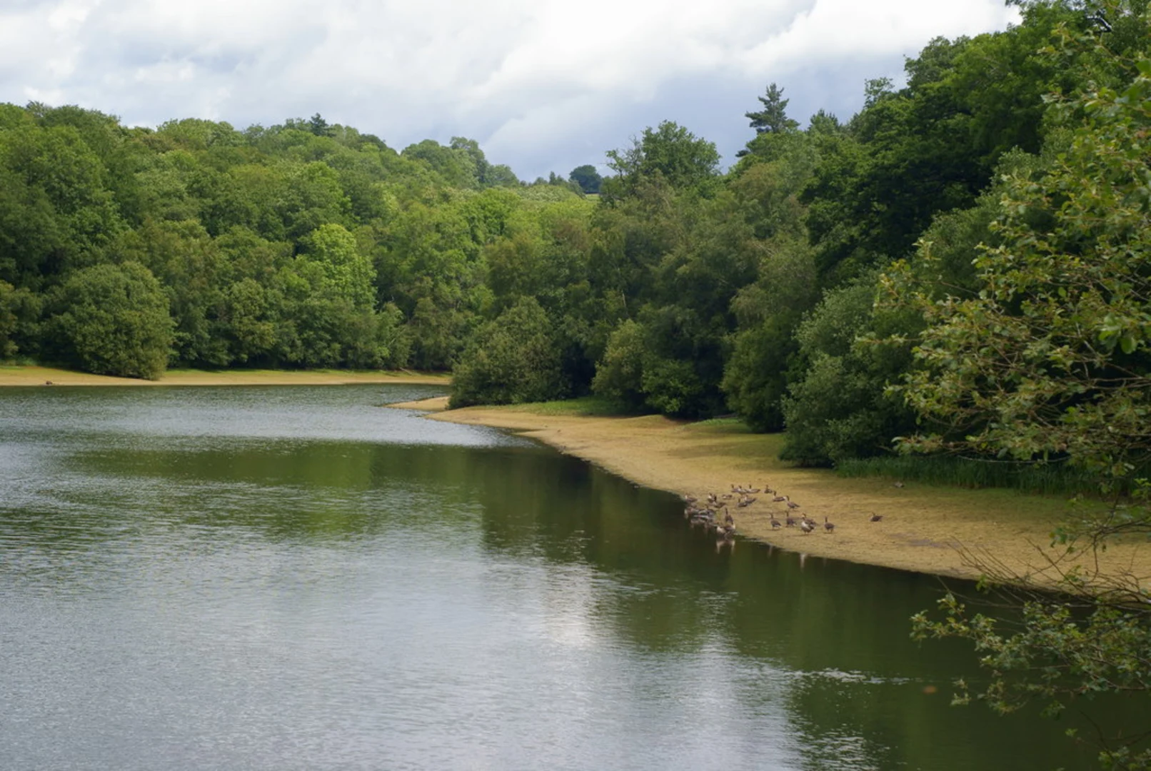An image depicting the trail Haywards Heath to Balcombe Walk via Ardingly Reservoir and its surrounding area.