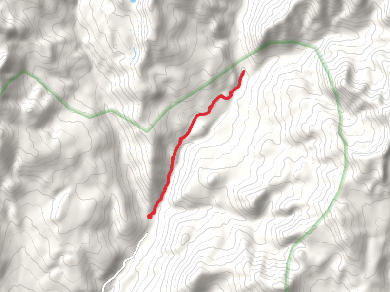 Main Bear Creek Trail