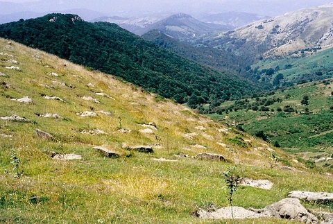 Mine Road PR GI 2006