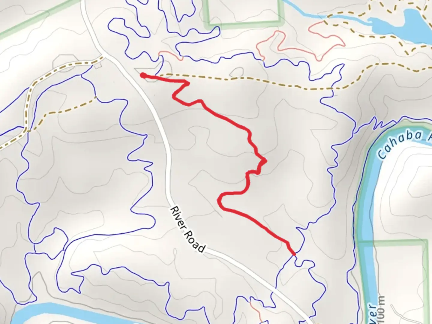 An image depicting the trail Flying Squirrel and its surrounding area.