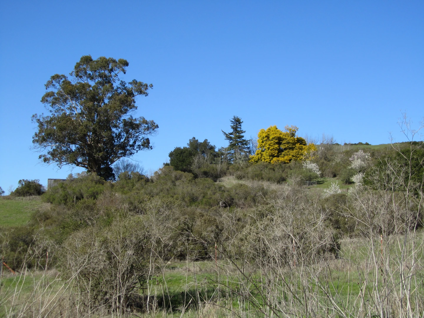 An image depicting the trail MacDonald Trail and its surrounding area.