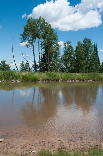 Turkey Flats Loop Trail