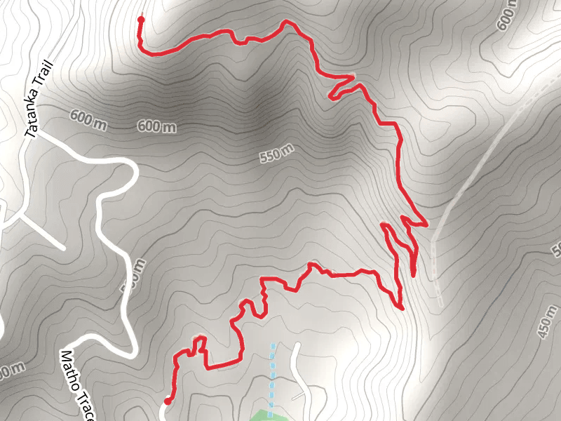 Youngs Mountain Trail