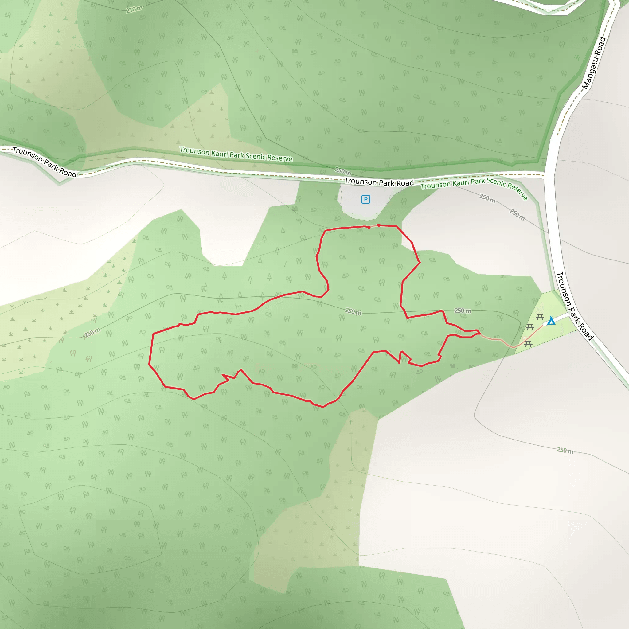 Trounson Kauri Park Loop Track mobile static map