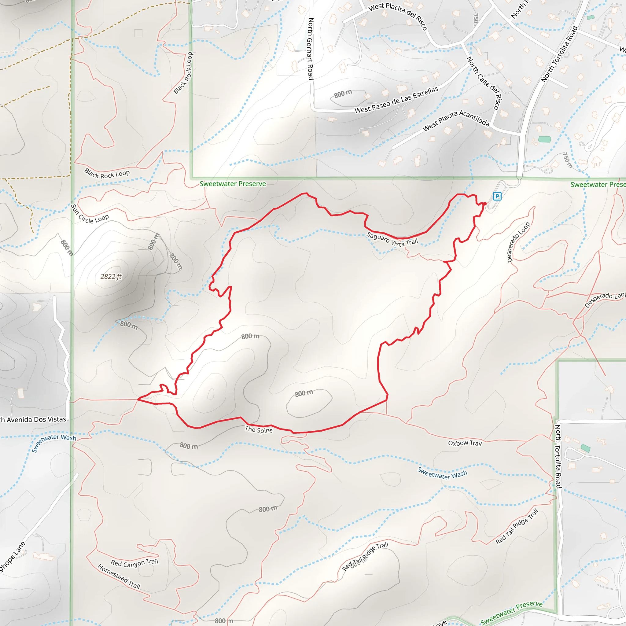 Saguaro Vista Trail, The Spine and Wildflower Ridge Loop Trail | Pima