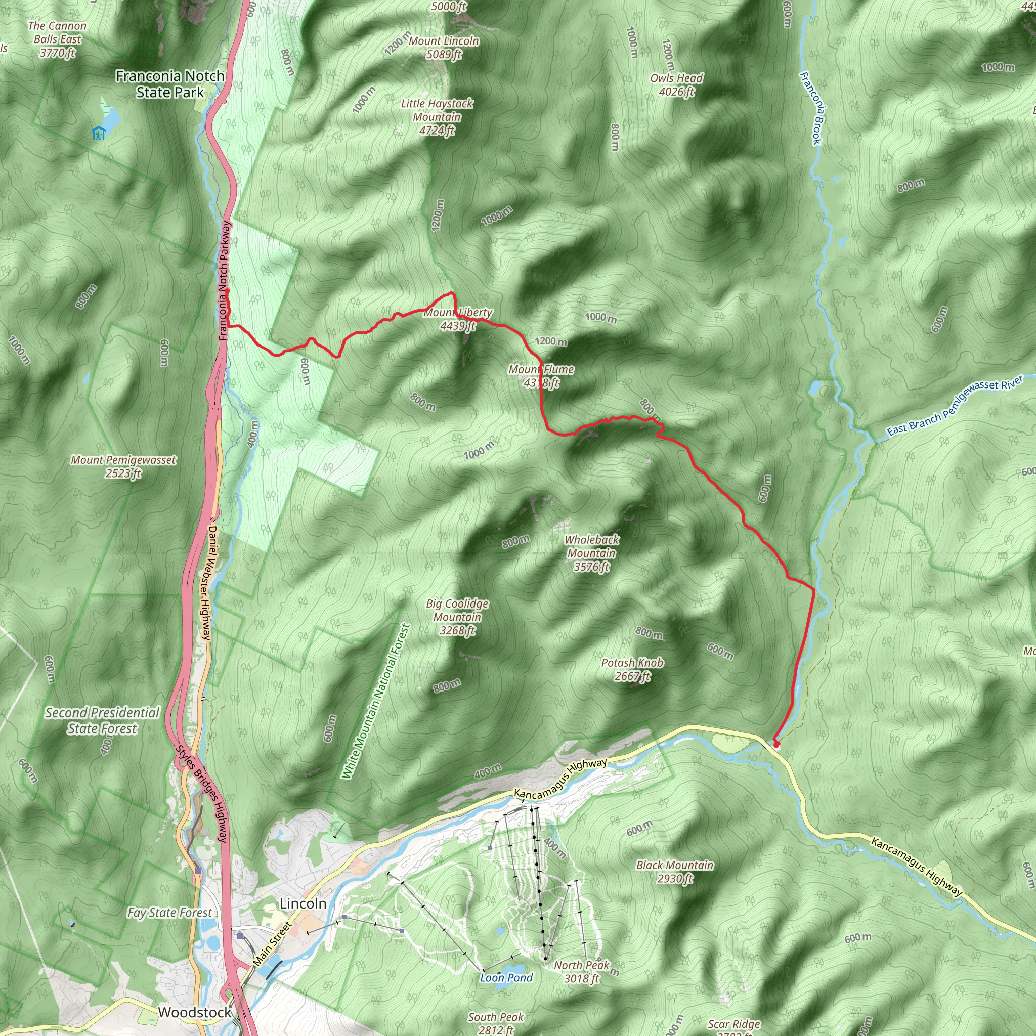 Lincoln Woods Trail to Liberty Spring Trail mobile static map