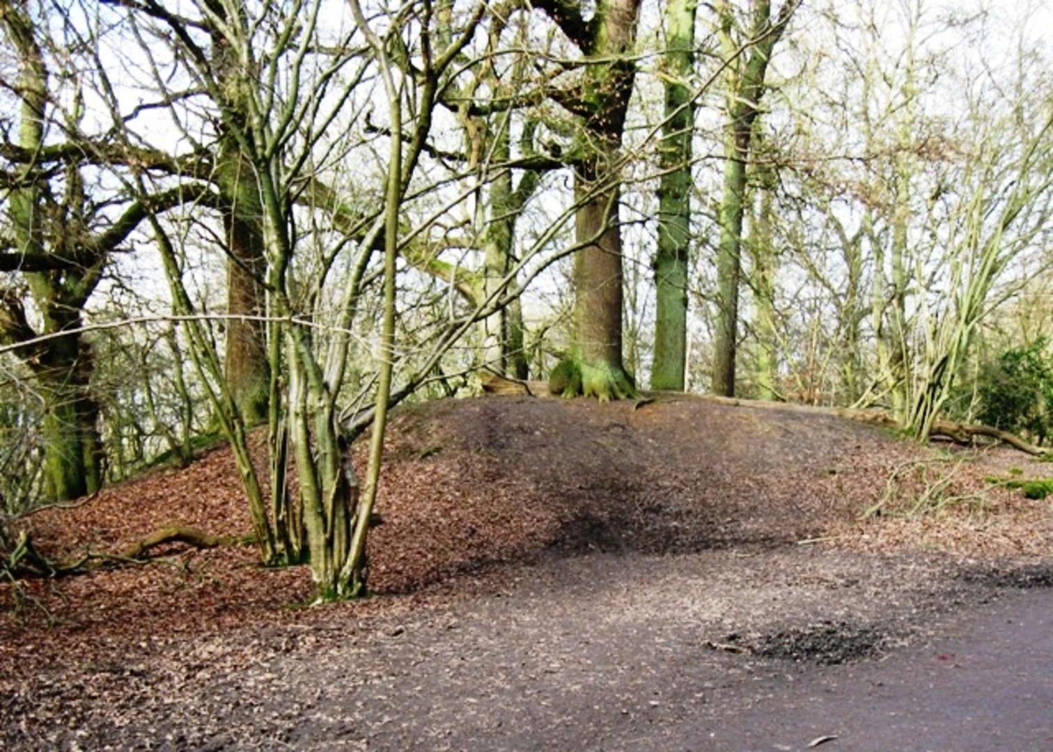 An image depicting the trail Aldbury-Frithsden and Beacon Hill Loop and its surrounding area.