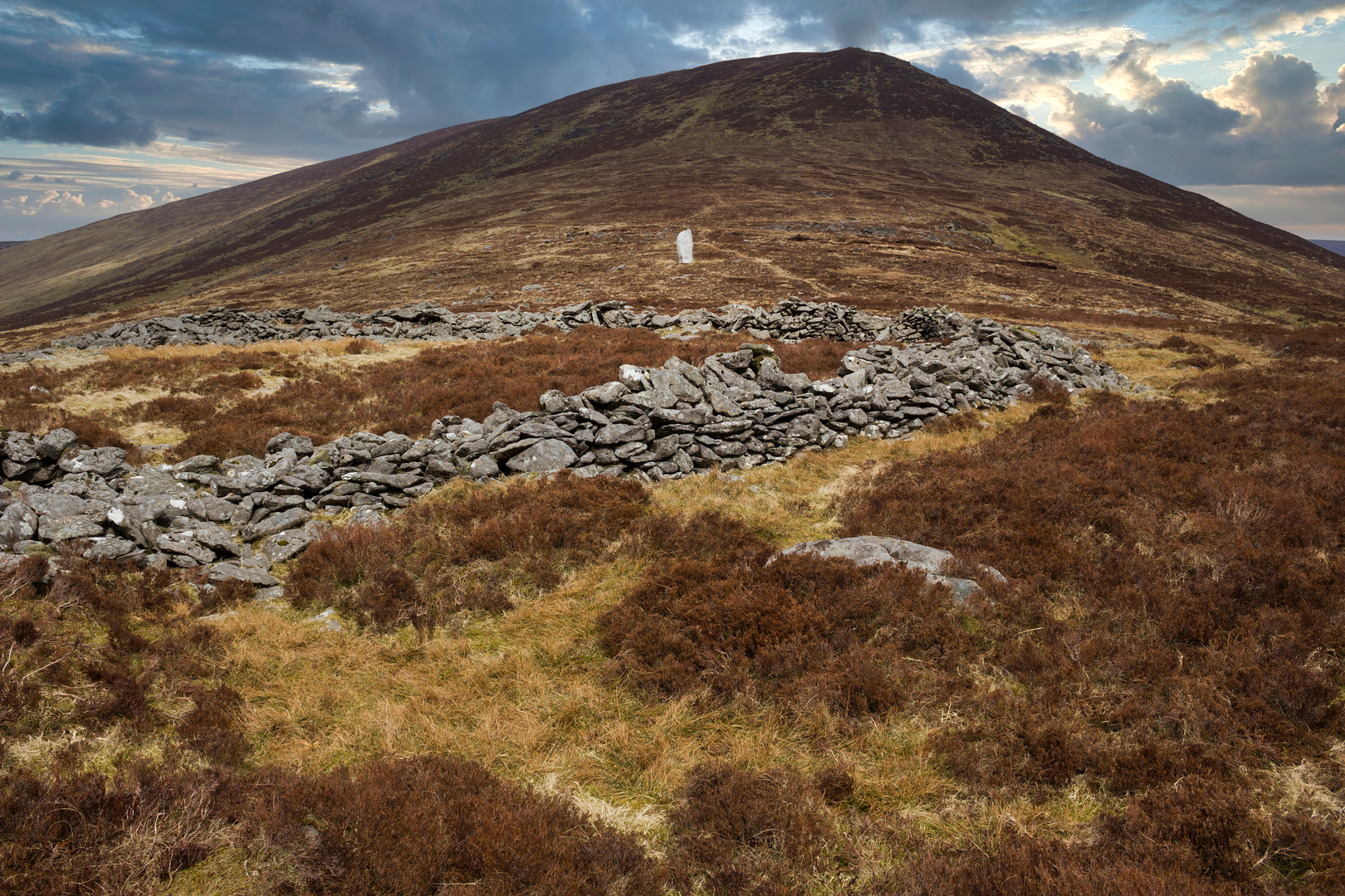 An image depicting the trail Ballyhoura - Lyre na Freaghaun and its surrounding area.