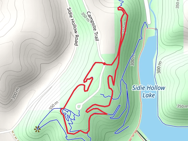 The Bobby Long Loop