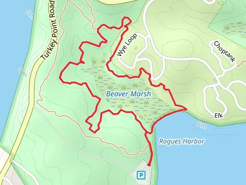 Beaver Marsh Loop