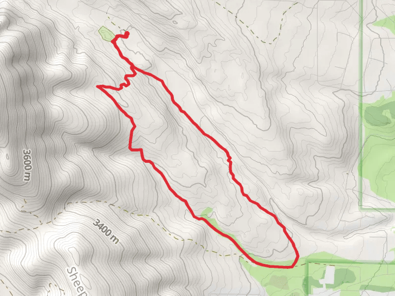 Four Mile Creek and Rhodes Warm Spring Loop
