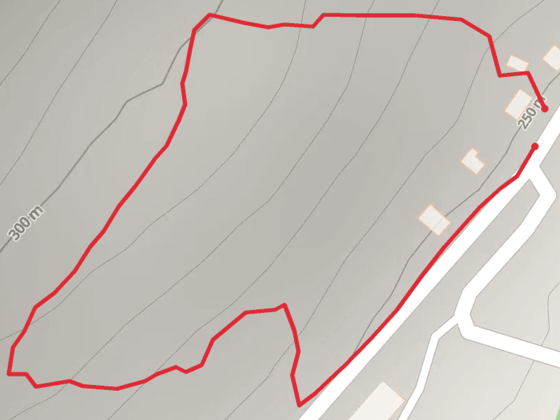Gas Wells Loop