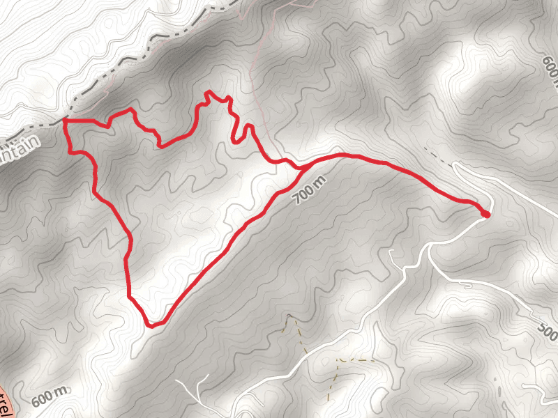Austin Gap Trail