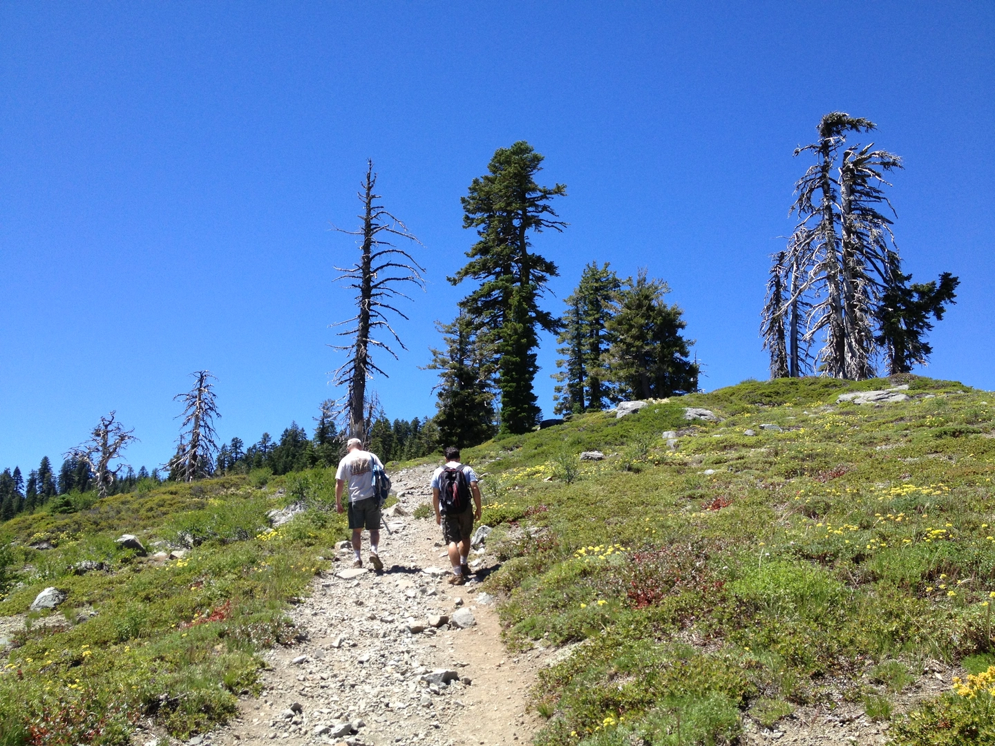 Bullpen, Crooked Lake and Round Lake Loop Trail | Nevada County | Cali