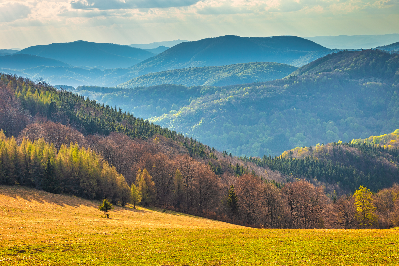 An image depicting the trail Trans Carpathian Hike and its surrounding area.