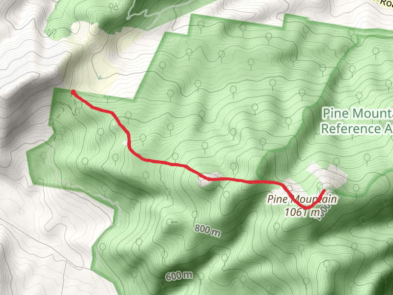 Pine Mountain and Rocky Knob Trail