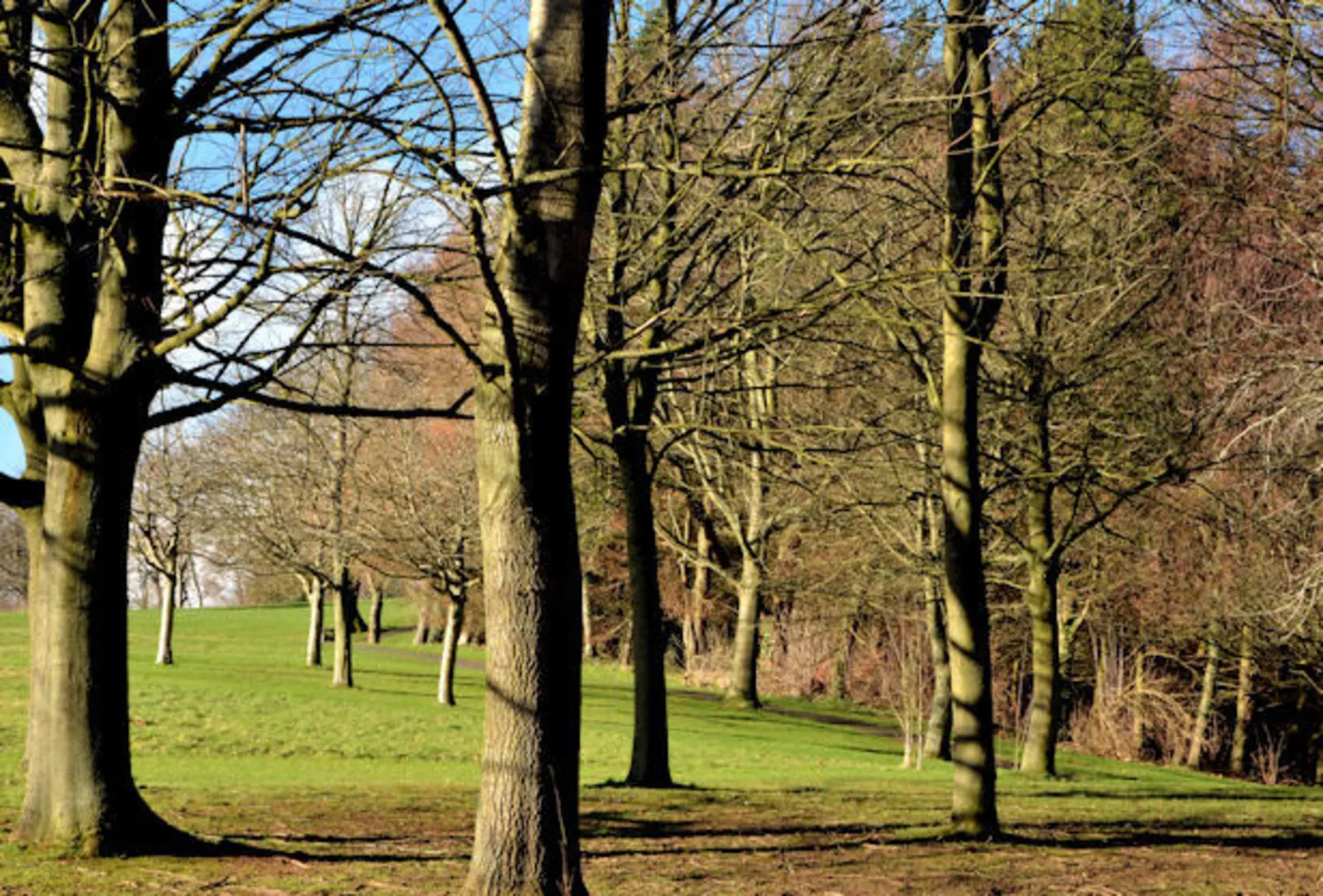 An image depicting the trail Lagan Valley Regional Park Loop and its surrounding area.