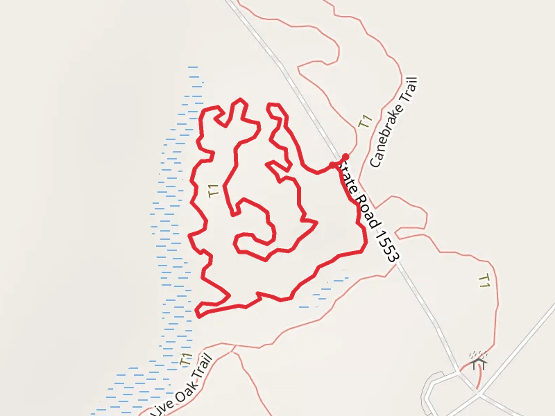 Gator Loop Trail