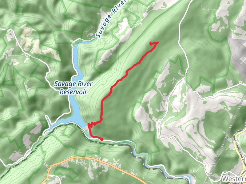 Big Savage Mountain Trail