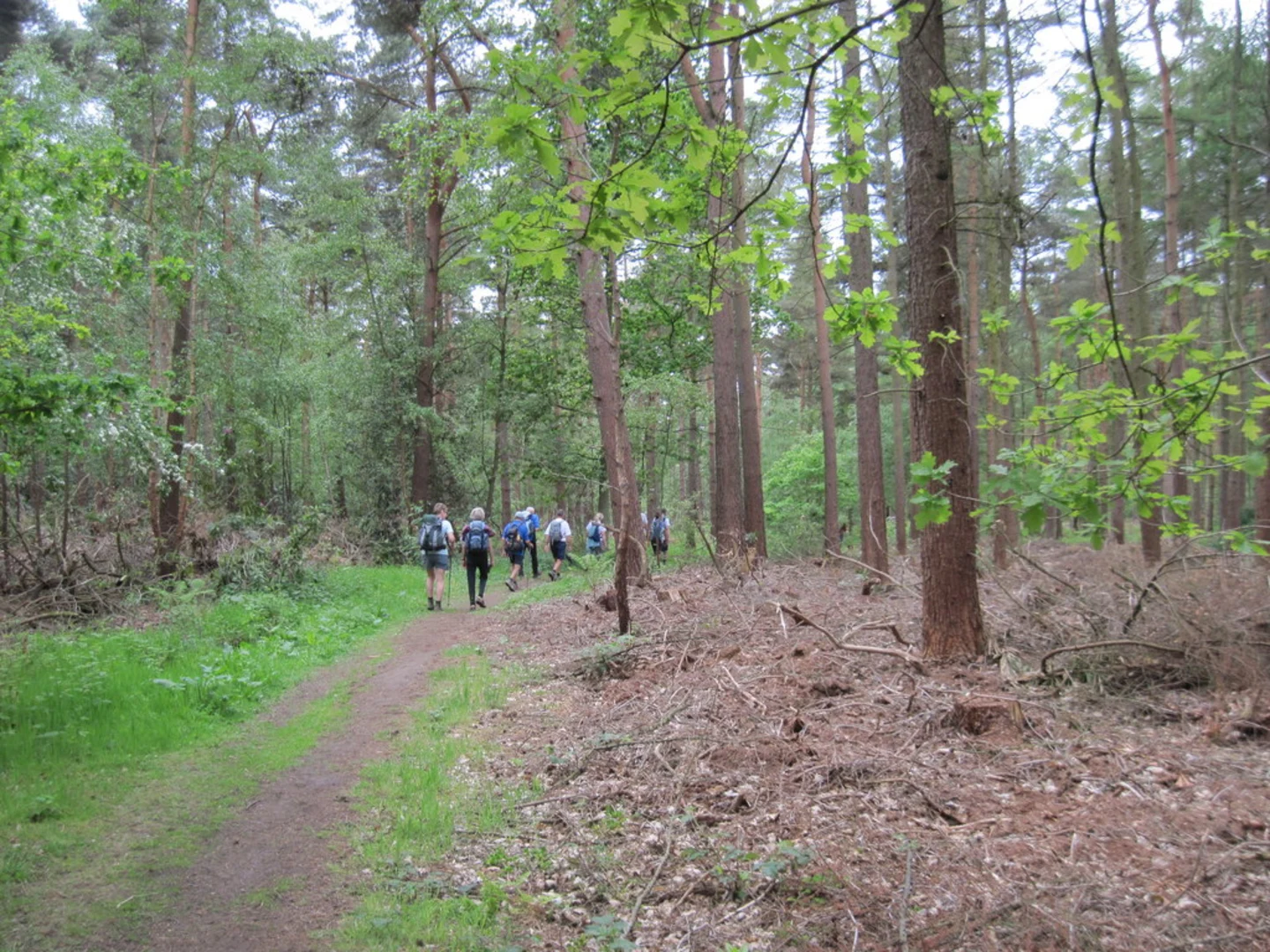 An image depicting the trail Ox Calder Way and Hagg Wood and its surrounding area.