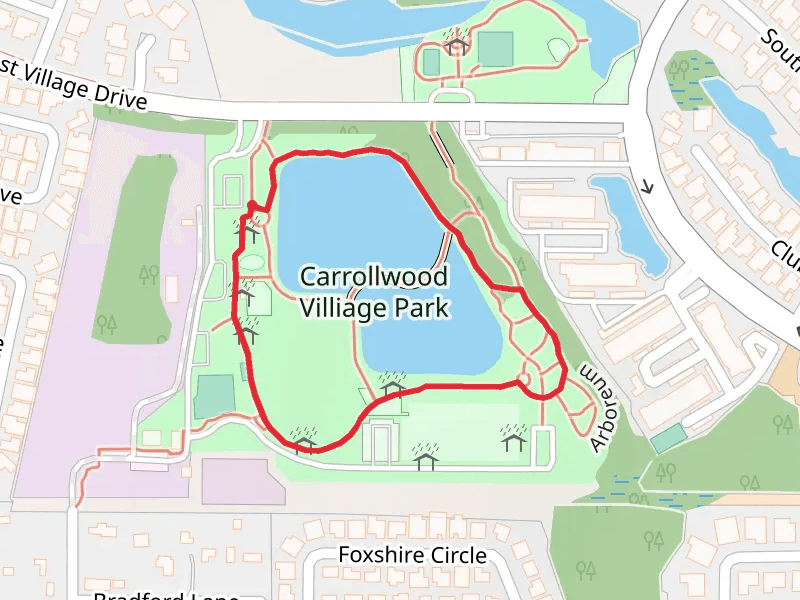 Carrollwood Villiage Park Loop