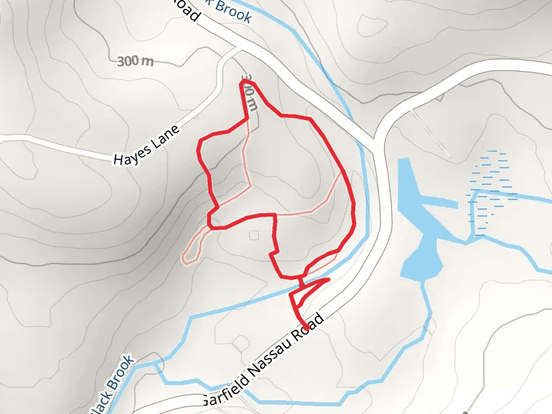 Black Brook Loop via Main Trail