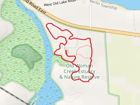 Estuary Overlook Trail and Early Successional Access Loop