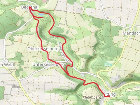 Bechthaler Weiher via Bechthaler Weg