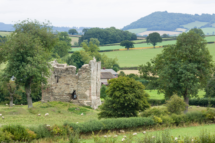 Bishop's Castle Ring Circular Walk