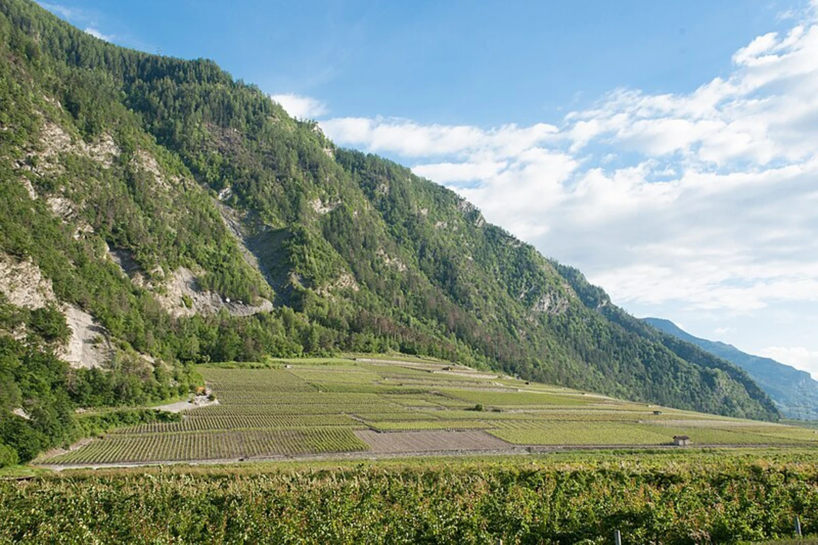An image depicting the trail Autour du Mont Gond and its surrounding area.