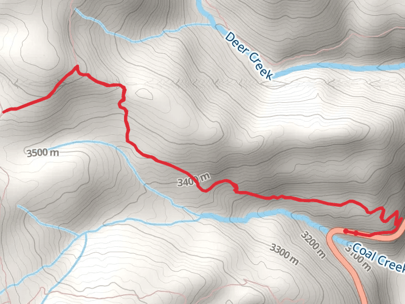 Coal Creek Trail