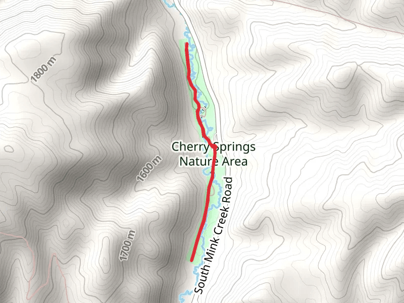 Mink Creek Walk in Cherry Springs Natural Area
