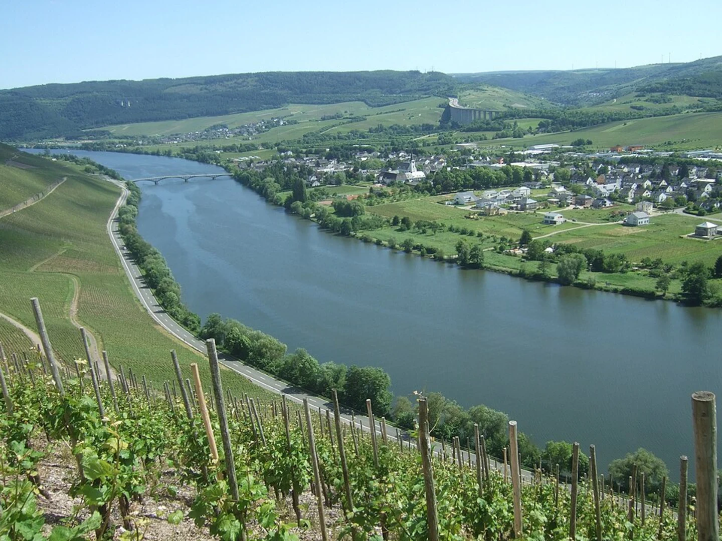 An image depicting the trail Schweich to Mehring Walk via Mehringer Berg and its surrounding area.