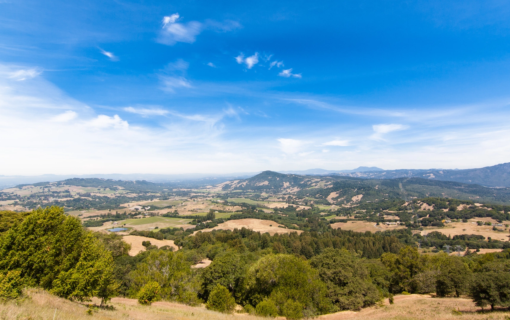 An image depicting the trail Schultz Trail and Ridge Trail and its surrounding area.