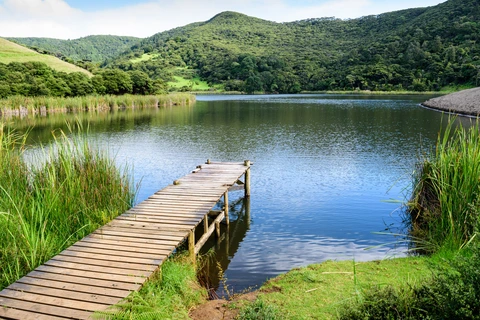 Lake Wainamu Track