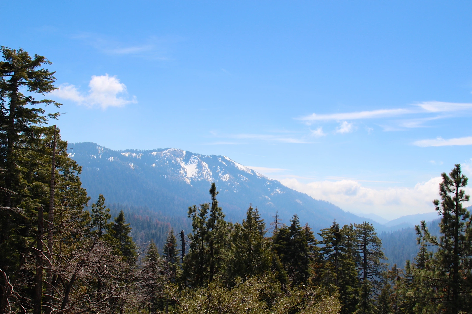 An image depicting the trail Big Baldy Peak from Generals Highway and its surrounding area.