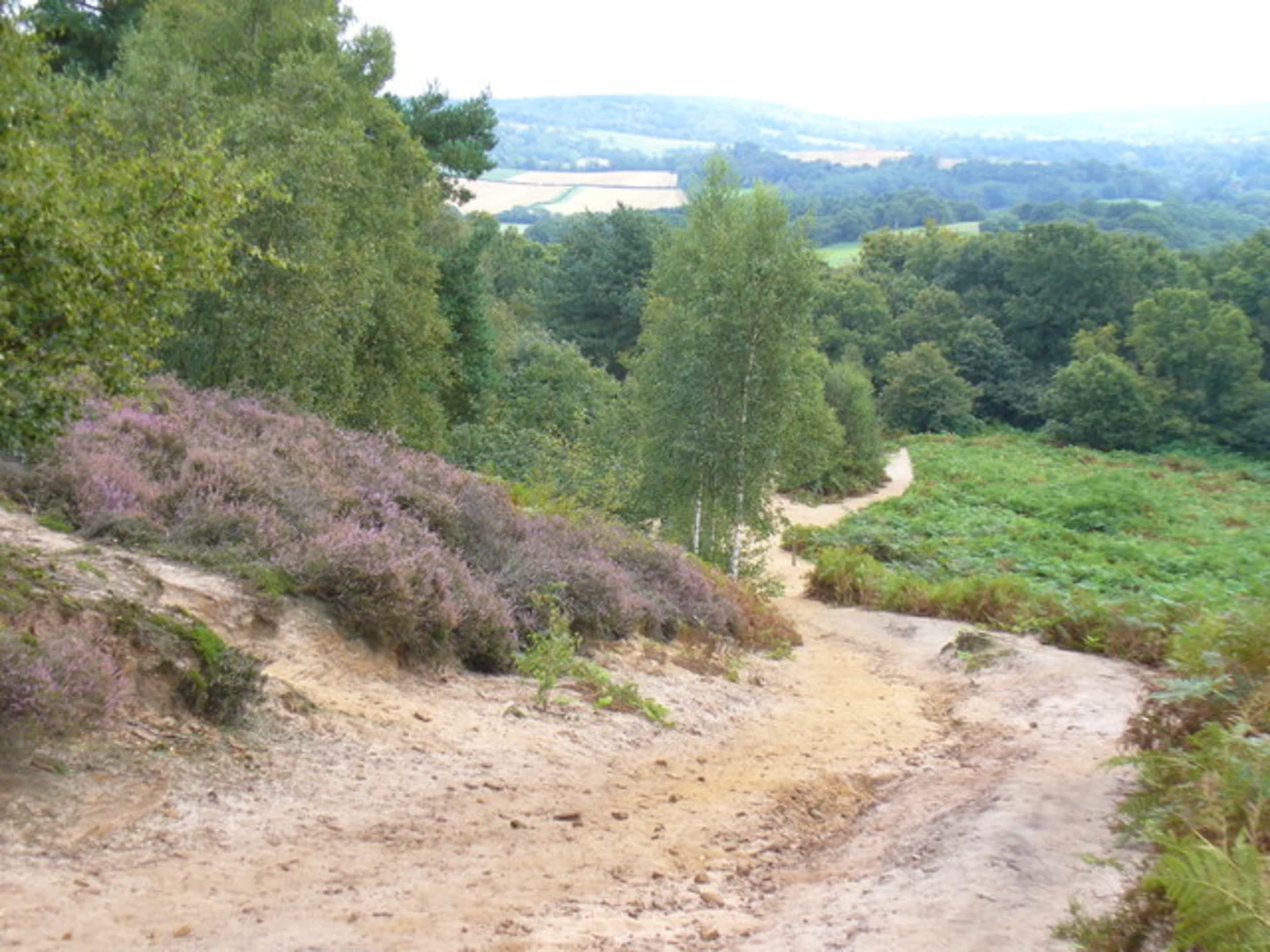 An image depicting the trail St Martha's Hill via North Downs way and its surrounding area.