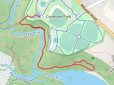 Chickadee Link and Racoon Run Loop