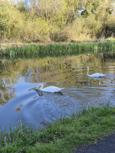 10th lock Clondalkin, Grand Canal greenway to Sallins & Naas
