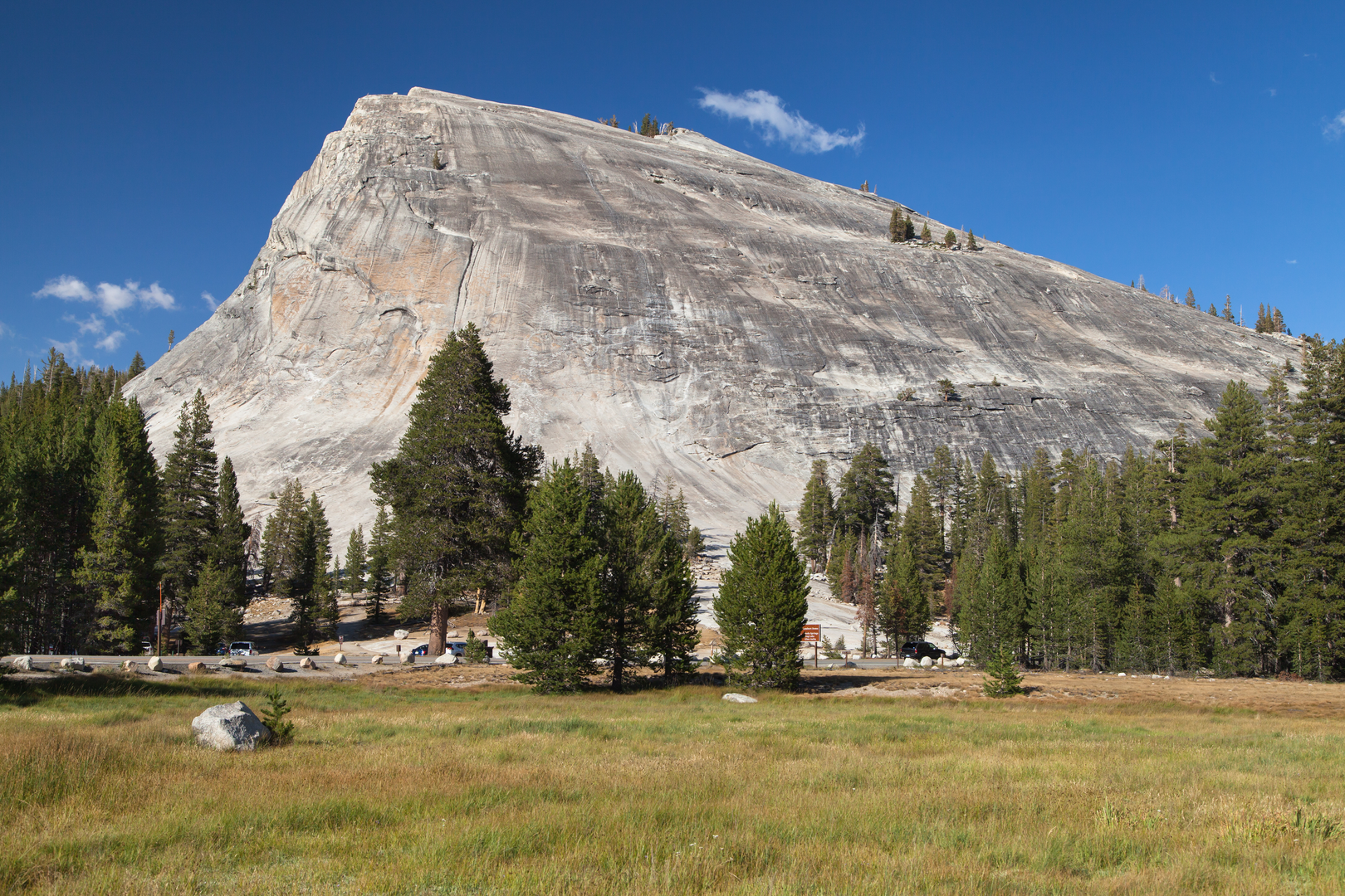 An image depicting the trail Lembert Dome and Dog Lake Trail and its surrounding area.